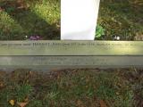 image of grave number 43245